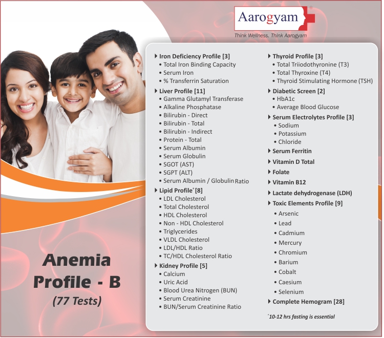 ANEMIA PROFILE B ( 77 Tests )