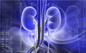 Kidney Function Test Profile | Renal Function Test | 5 Tests