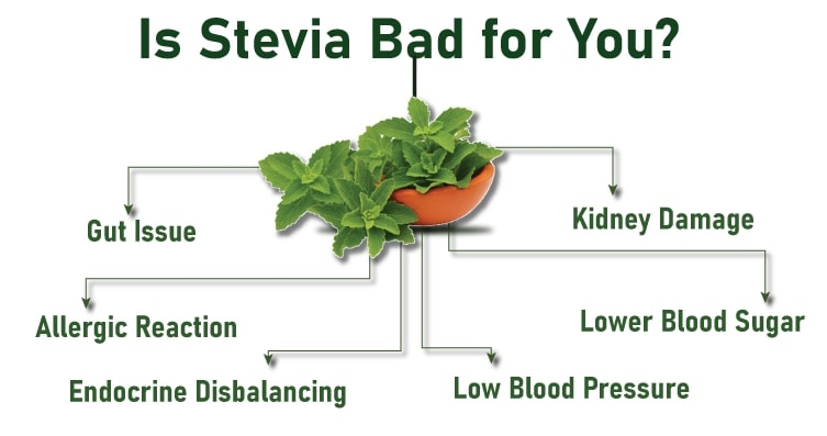 Stevia Good For You? of and Side Effects