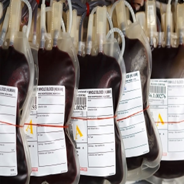   Narayana multispeciality Blood bank hospital from  sector 28, Sanganer, Prtap Nagar  ,Jaipur, Rajasthan, 302030, India 0 years experience in Speciality Blood Bank | Kayawell