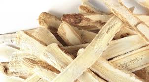 Astragalus root