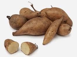 Yacon Root