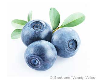 Bilberry