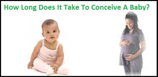 Conceive a Baby