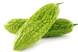 Bitter Melon