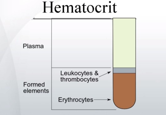 Hematocrit LabTest