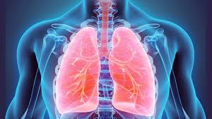 Lungs (Strong and Healthy)