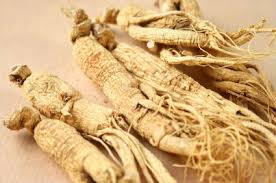 Uses of Ginseng Root
