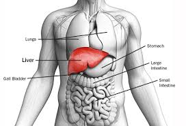 Liver Cancer Symptoms and Causes