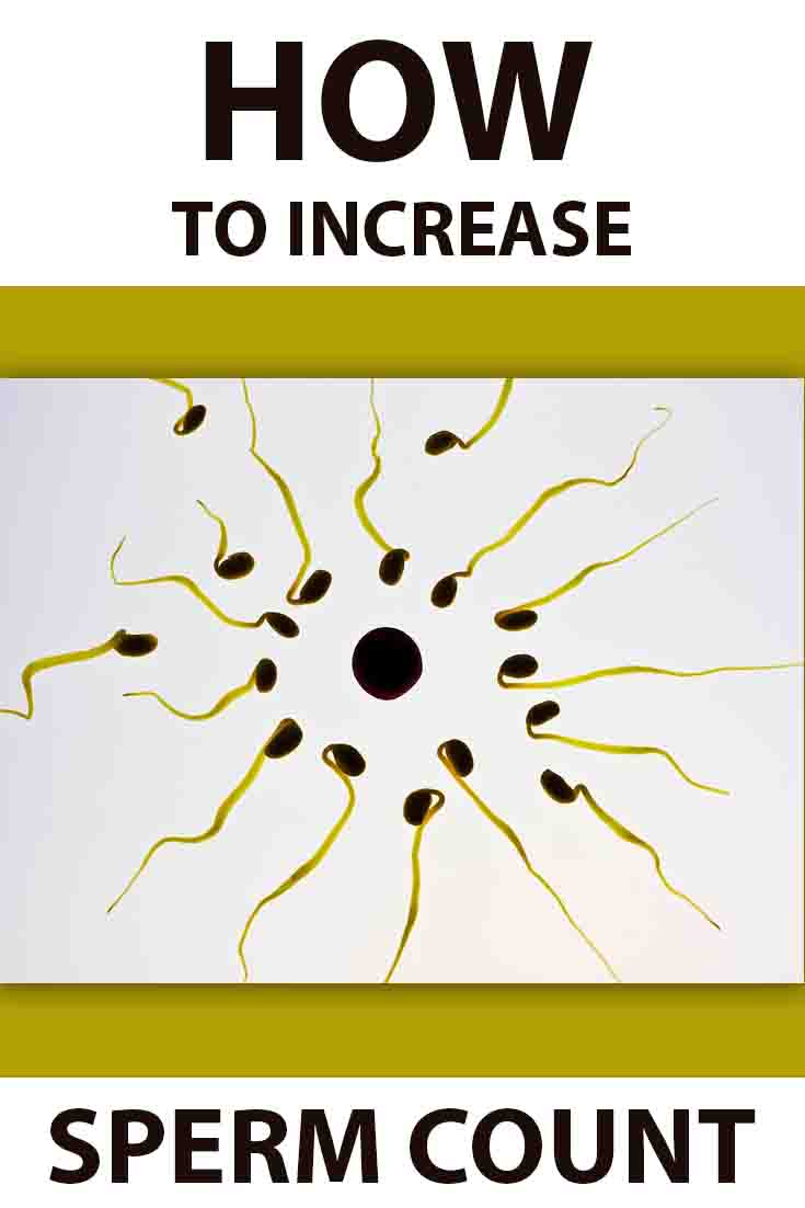 Sperm Count Increase