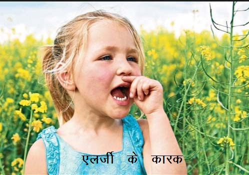 Allergy or Ayurveda of Allergy