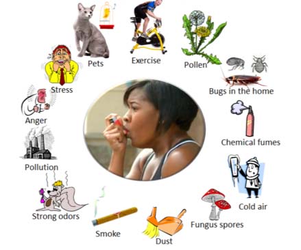 Asthma  ka Ayurveda