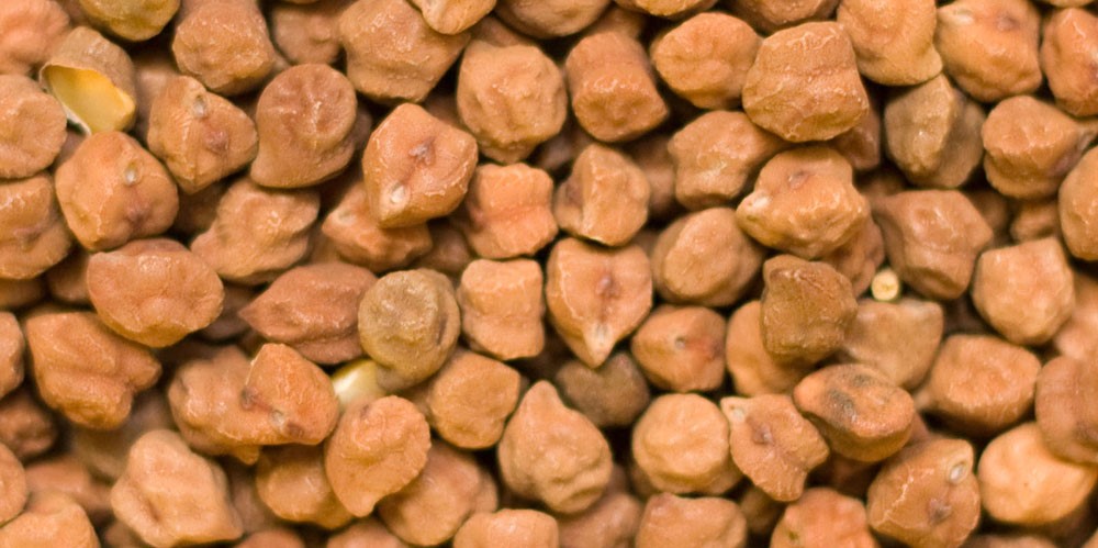 चना के औषधीय गुण