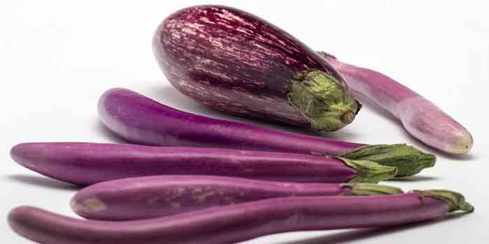 बैंगन के फायदे और नुकसान