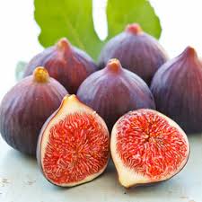 अंजीर एक फायदे अनेका अनेक