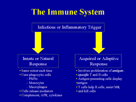 Immune Inflammatory and Infections