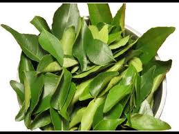 करी पत्ता के फायदे