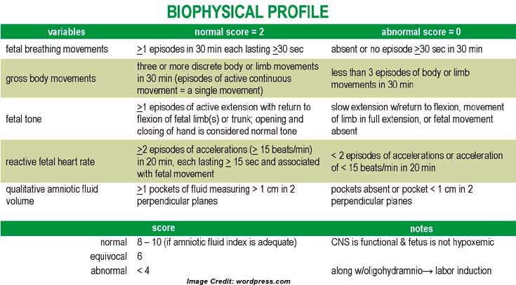 USG-BIOPHYSICAL PROFILE LabTest