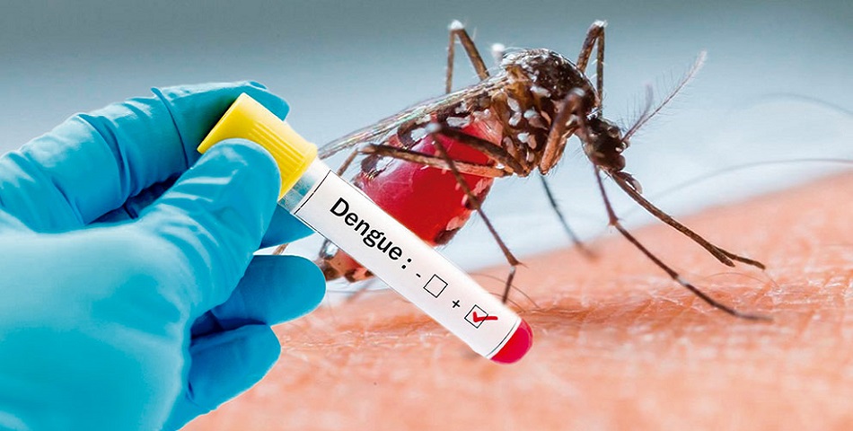 डेंगू बुखार के कारण | लक्षण | बचाव व उपचार