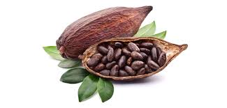 Health Benefits Of Cocoa