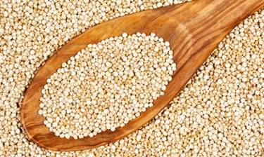 क्युनोवा  क्या  है