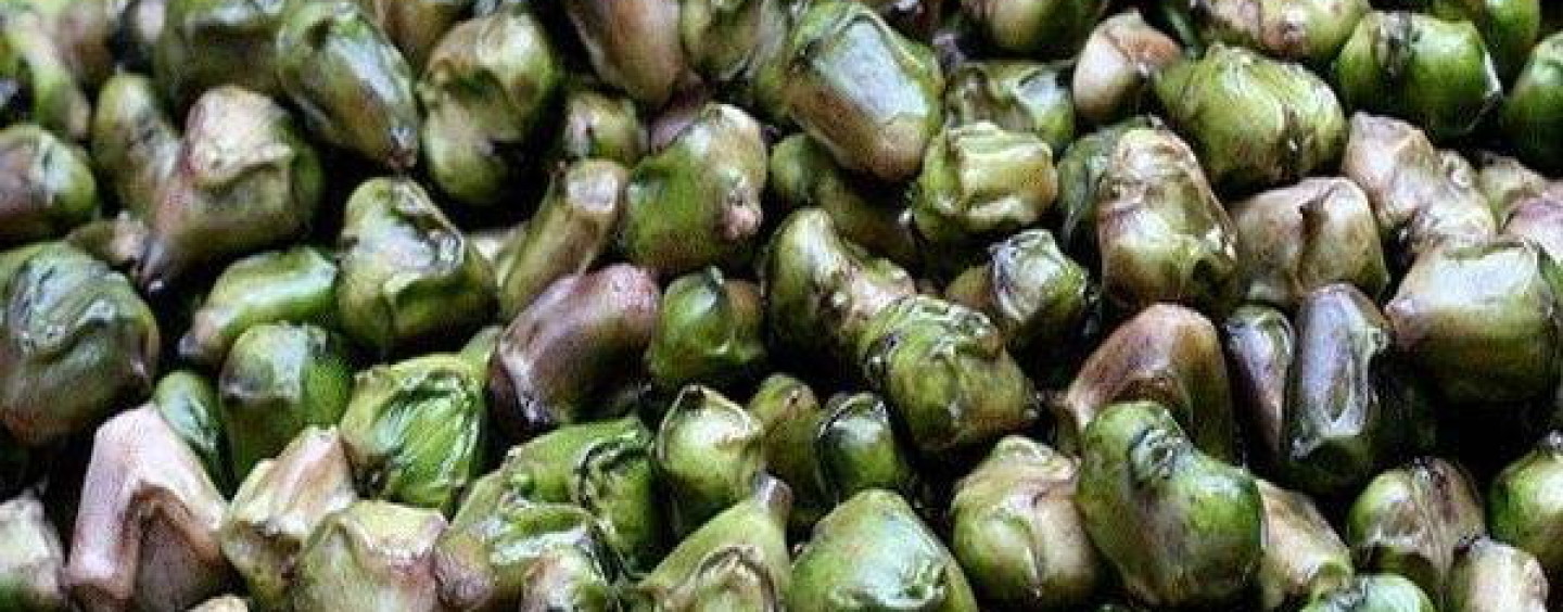 सिंघाड़ा खाने के फायदे