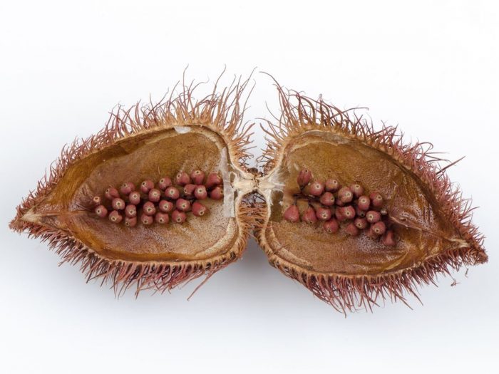 9 Incredible Benefits Of Annatto Seeds