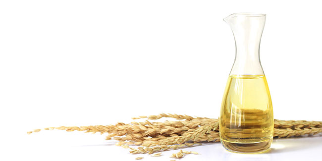 वीट जर्म आयल – जानिए इसके 8 फायदों को