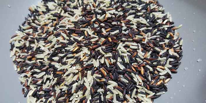 जंगली चावल - अच्छा और बुरा