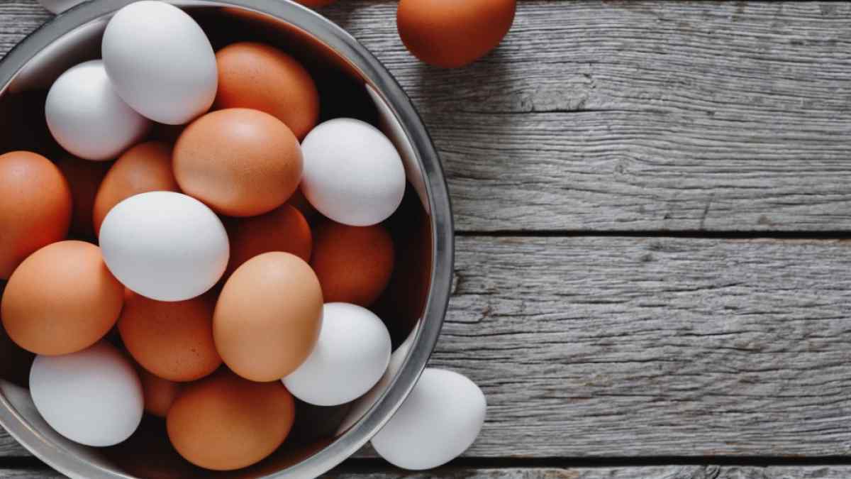 'आयुर्वेदिक अंडा',के फायदे जान हैरान रह जाएंगे आप