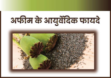 अफीम के आयुर्वेदिक फायदे