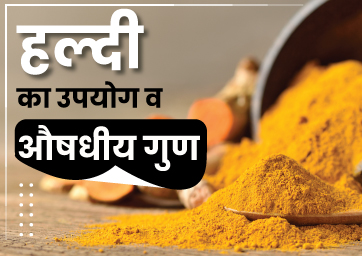 हल्दी का उपयोग व औषधीय गुण