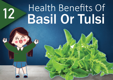 12 Health Benefits of Basil or Tulsi