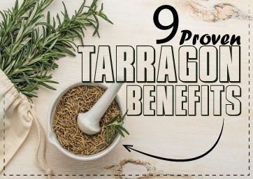 9 Proven Tarragon Benefits: Know Side Effects and Nutritions Value