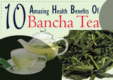 10 Amazing Health Benefits Of Bancha Tea