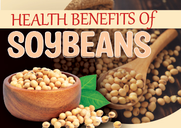 13 Amazing Health Benefits Of Soybeans