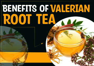7 Incredible Benefits Of Valerian Root Tea