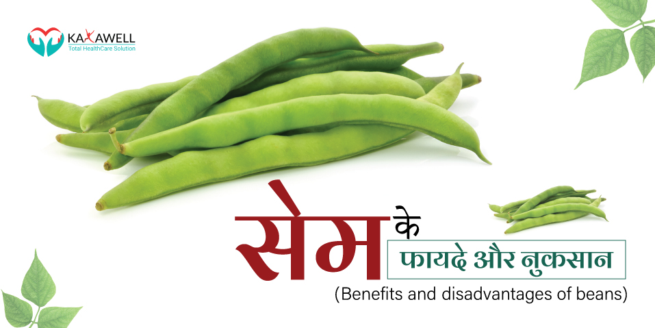 सेम के फायदे और नुकसान