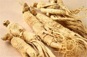 Uses of Ginseng Root