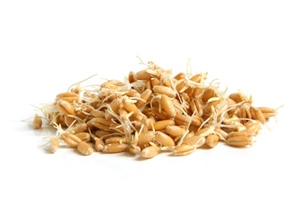 9 Amazing Health Benefits Of Wheat Germ