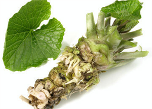 7 Wonderful Benefits Of Wasabi