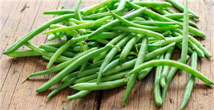7 Impressive Benefits Of Green Beans