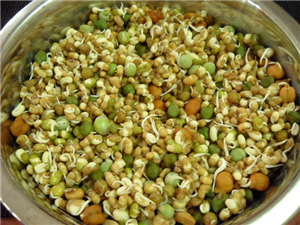 11 Best Benefits Of Sprouts