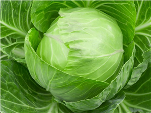 Amazing Health Benefits Of Cabbage | Nutrition Facts
