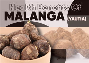 Health Benefits Of Malanga (Yautia)