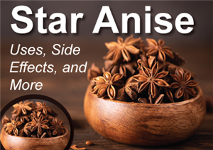 Star Anise: Uses, Side Effects and More