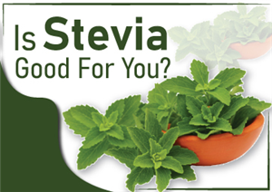 Is Stevia Good For You?
