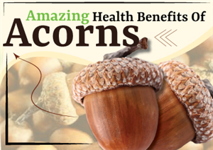 8 Amazing Health Benefits Of Acorns
