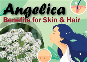 Angelica Benefits for Skin & Hair