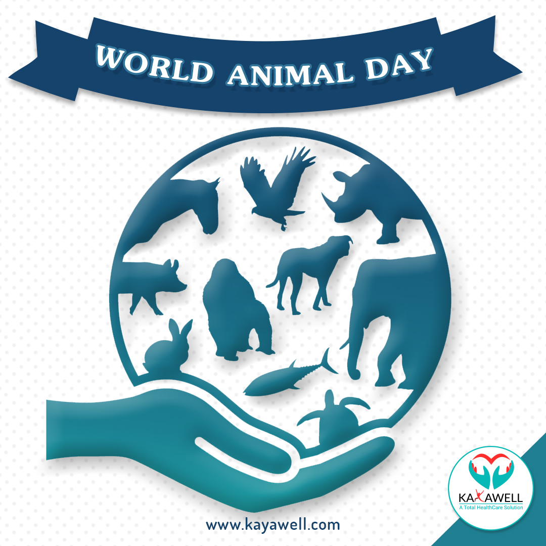 World Animal Day | Kayawell